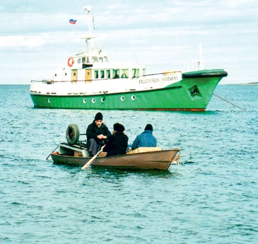 a13